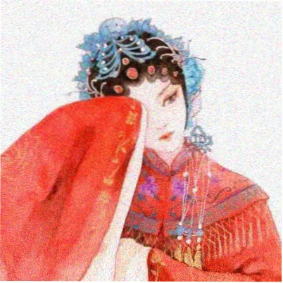 主演林舒